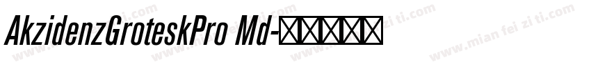 AkzidenzGroteskPro Md字体转换